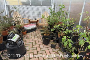 544F1A1D-8723-44DC-8316-8BAB3B904347_1_105_c